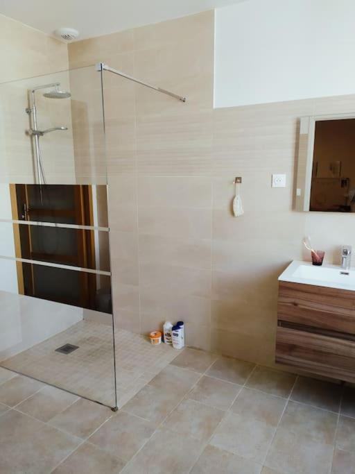 Maison De Charme Proche Gare Et Centre Ville Gaillac Eksteriør bilde