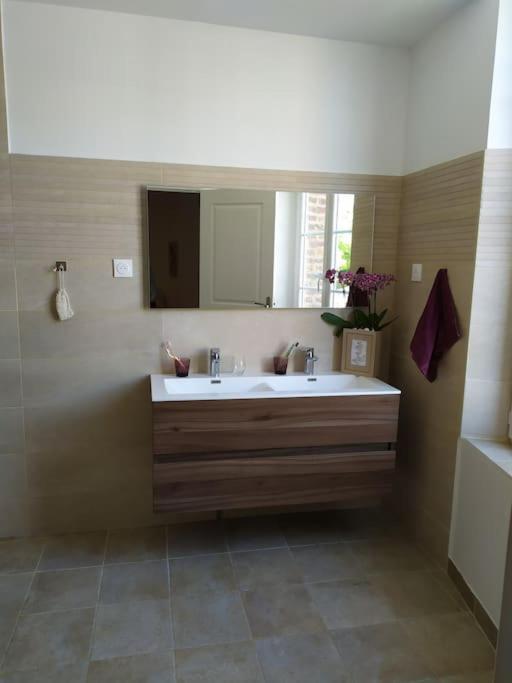 Maison De Charme Proche Gare Et Centre Ville Gaillac Eksteriør bilde